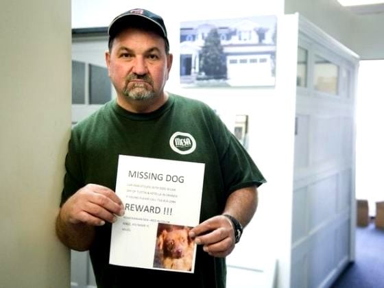 4.10.14 - Update - Missing Dog Miles Found Dead2