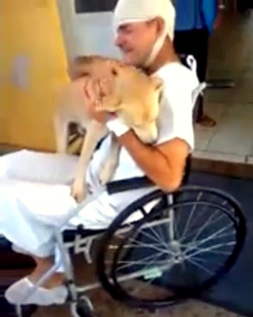 4.13.14 - Homeless Brazilian Dog Waits Outside Owner's Hospital for Eight Days2