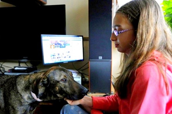 4.17.14 - 13-Year-Old Uses Facebook to Save Romanian Strays3