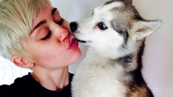 4.4.14 - Miley Breaks Down During Floyd Tribute1