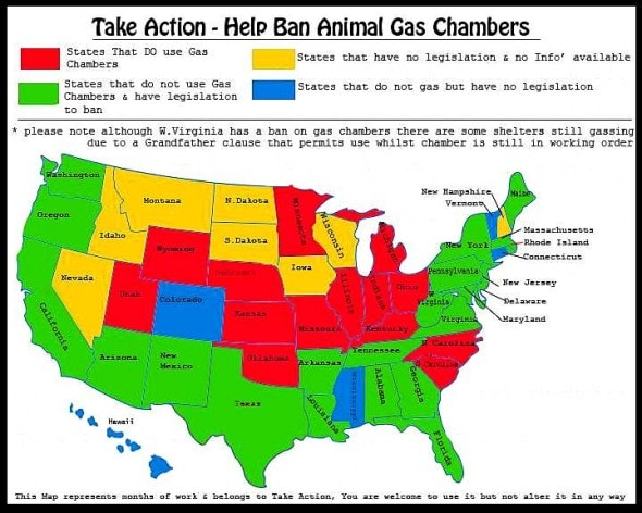 4.5.14 - Ban the Gas Chamber2