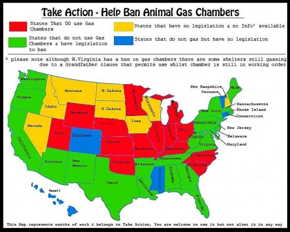 4.5.14 - Ban the Gas Chamber2