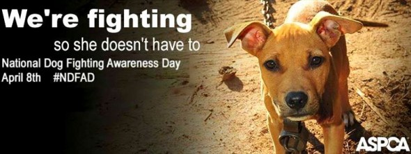 4.8.14 - National Dog Fighting Awareness Day1