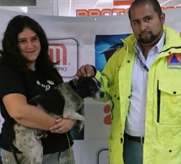 Talismán with his rescuers. Photo Credit: Excelsior