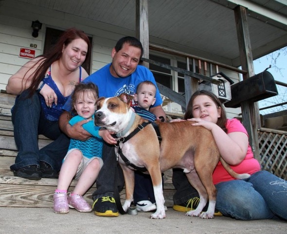 The James family reunites with Reckless. Photo Credit: Bill Denver for New York Daily News