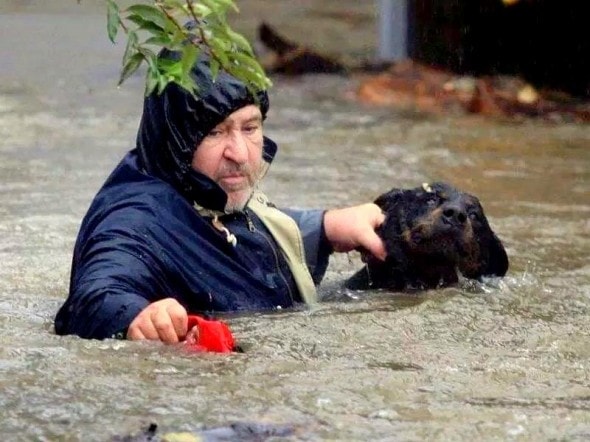 5.17.14 - Heroic Bosnians Brave Dangerous Floodwaters to Save Dogs1