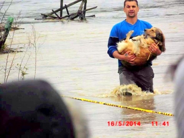 5.17.14 - Heroic Bosnians Brave Dangerous Floodwaters to Save Dogs2
