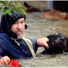 5.17.14 Heroic Bosnians Brave Dangerous Floodwaters to Save Dogs23