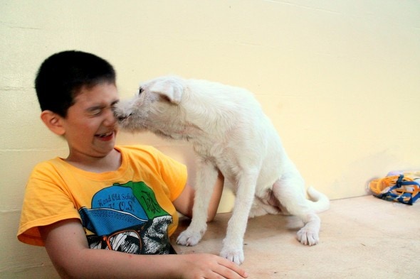 5.18.14 - Filipino Boy Builds No-Kill Shelter in His Garage12