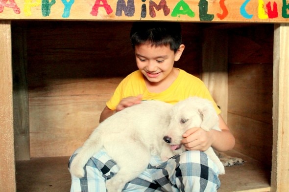 5.18.14 - Filipino Boy Builds No-Kill Shelter in His Garage13