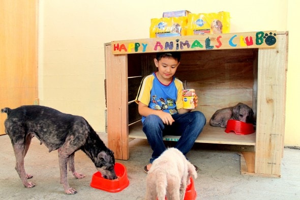 5.18.14 - Filipino Boy Builds No-Kill Shelter in His Garage9