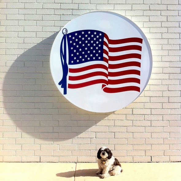 “Dog Bless America, Maggie in a patriotic gas station parking lot.” San Antonio, Texas. November 16, 2013.