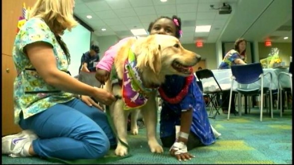 5.29.14 - Hospital Throws Birthday Party for Therapy Dogs4
