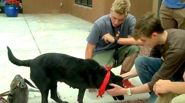 5.29.14 - Teen Boys Save Dying Dog2