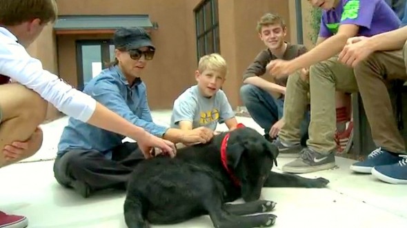 5.29.14 - Teen Boys Save Dying Dog3