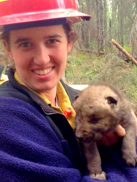 5.31.14 - Alaskan Firefighters Rescue Wolf Puppies7