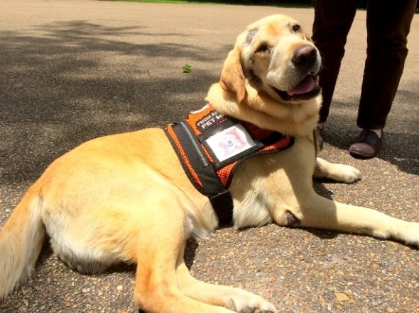 5.9.14 - Booster-the-service-dog