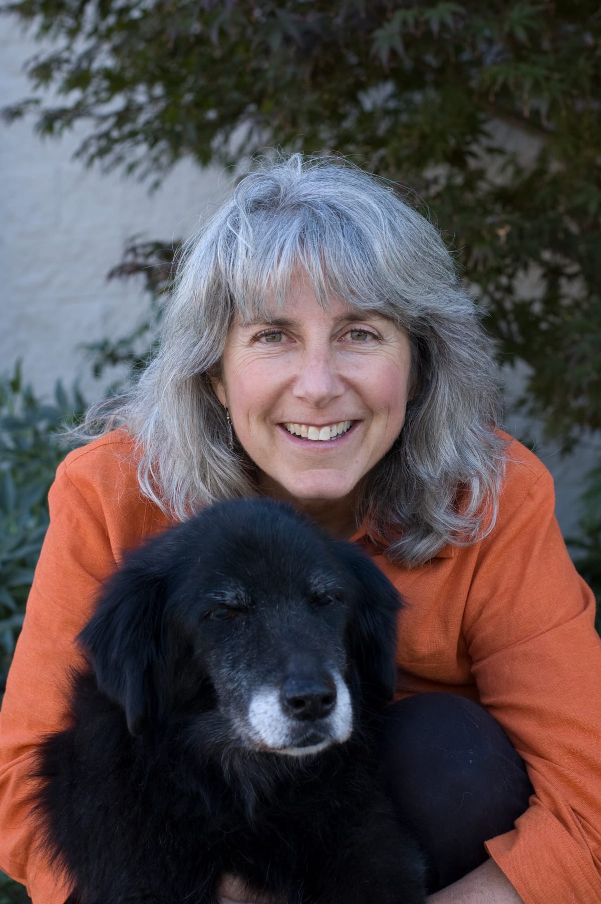 dog ravenously eating grass