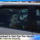 6.16.14 Woman Sees Dog Trapped in Hot Car Calls Cops and Posts Photo to Facebook2