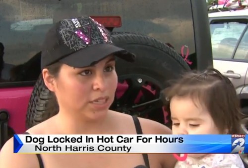 6.16.14 - Woman Sees Dog Trapped in Hot Car, Calls Cops and Posts Photo to Facebook3