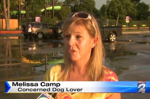 6.16.14 - Woman Sees Dog Trapped in Hot Car, Calls Cops and Posts Photo to Facebook4