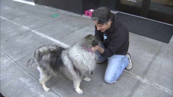 6.19.14 - Portland Group Steps Up to Reunite Dog with Sick Trucker