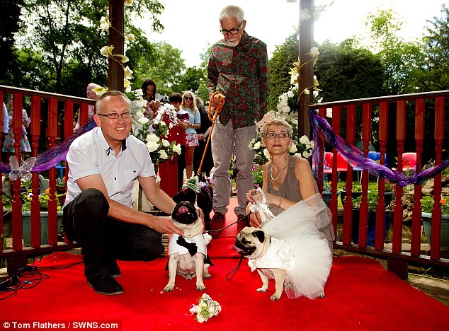 6.25.14 - Love-struck Pugs Wed in Lavish Ceremony1