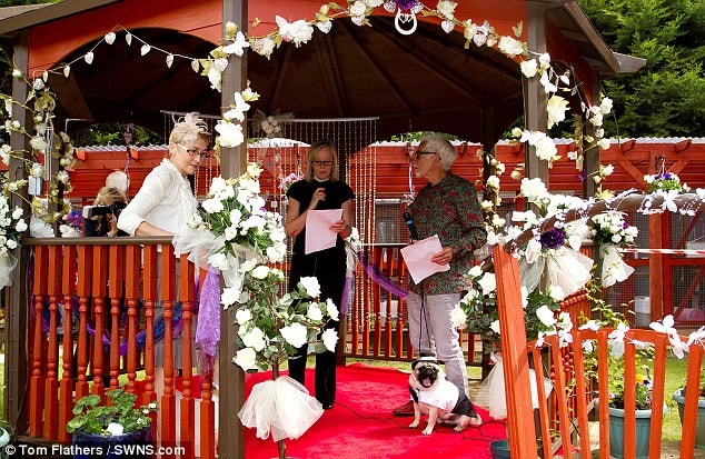 6.25.14 - Love-struck Pugs Wed in Lavish Ceremony7