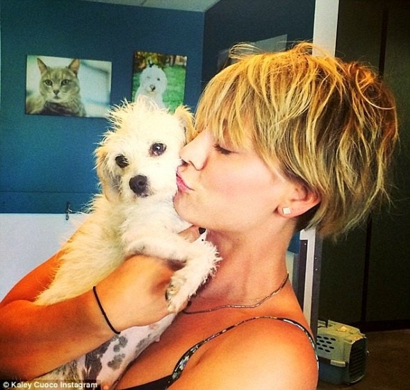 6.26.14 - Actress Kaley Cuoco Adopts a Rescue Dog3