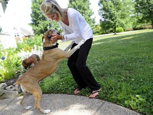 6.6.14 - Tennessee Family gets big Surprise from ‘Hospice’ Dog They’re Fostering1