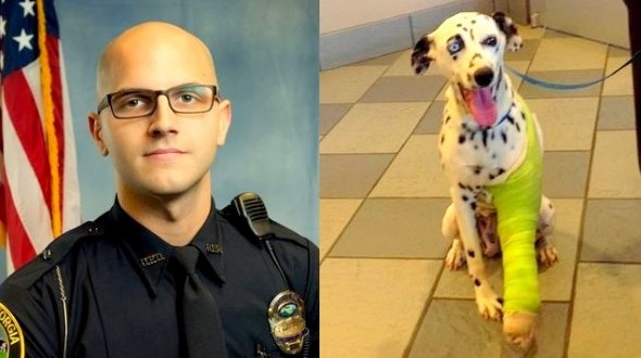 7.10.14 - Georgia Officer Rescues & Finds a Home for Injured Dalmatian1