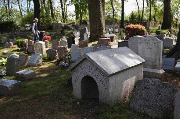 7.12.14 - New York Owners Can Now Be Buried Alongside Pets2