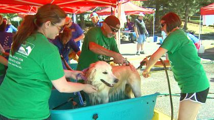 7.14.14 - Dog Wash Event Held in Colorado to Raise Money for Prescription Pet Program1