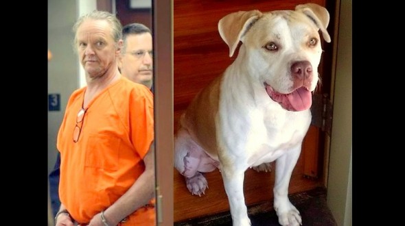 7.16.14 - Man Gets 10 Years for Dragging Dog1