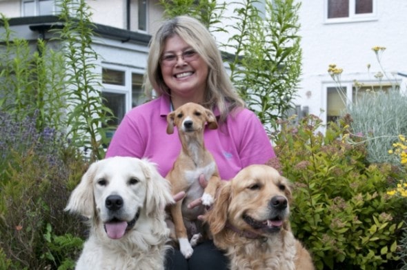 7.21.14 - Woman sets up her own Charity to Rescue Unwanted Dogs