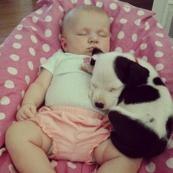 7.29.14 - Ten-Month-Old baby and Puppy are best Friends2