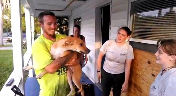 7.30.14 - Humane Society Workers Dig Out Trapped Dog by Hand3