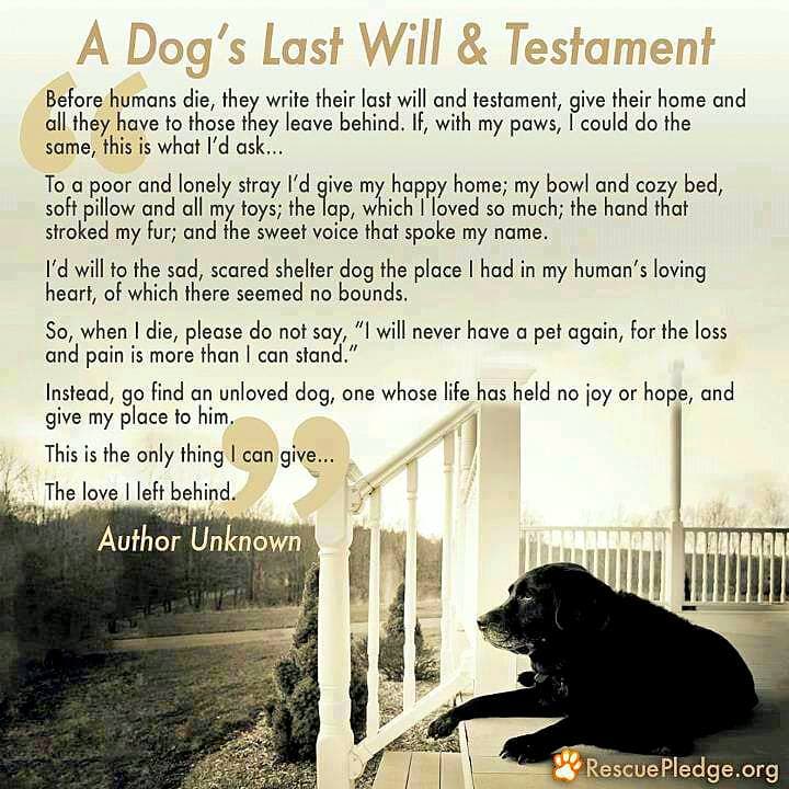 A Dog’s Last Will & Testament - LIFE WITH DOGS