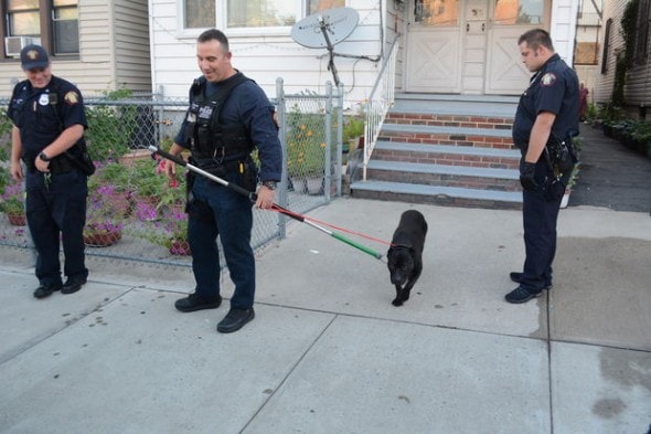 7.6.14 - Jersey City Cops use Tranquilizer Instead of Bullets on Dog to Arrest Owner1