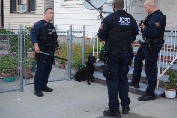 7.6.14 - Jersey City Cops use Tranquilizer Instead of Bullets on Dog to Arrest Owner2