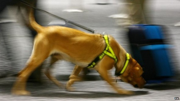 7.8.14 - Rhode Island State Police have “Tech-Sniffing Dog” on Team2