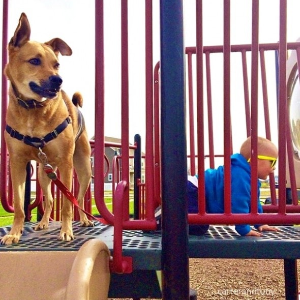 7.9.14 - Just a Boy and His Dog....15