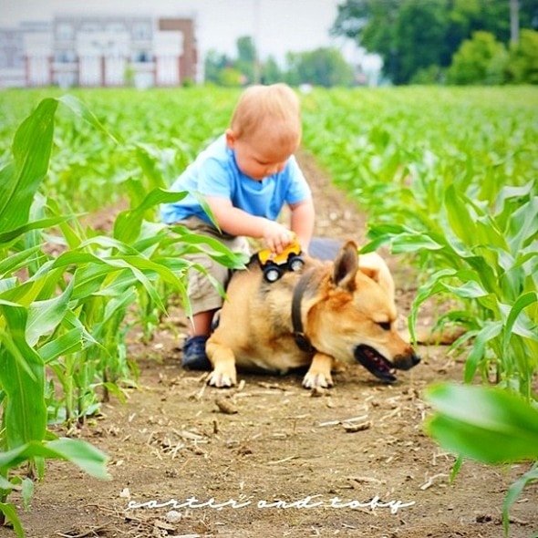 7.9.14 - Just a Boy and His Dog....3