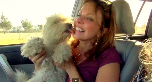8.15.14 - Dog Rescued & Smooched by Betty White2