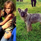 8.15.14 Puppy Saves Toddler Lost in Siberian Wilderness for 11 Days10