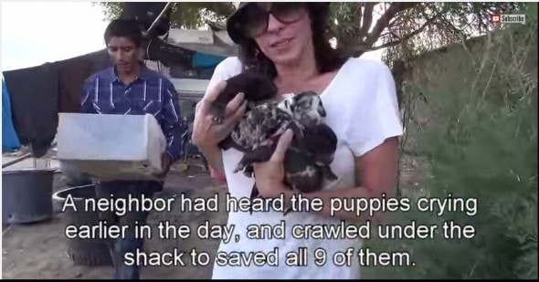 8.19.14 - Hope for Paws Rescues Three Dogs and Nine Pups from Desert