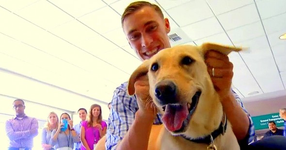 8.2.14 - Marine Reunited with Beloved Military Dog1