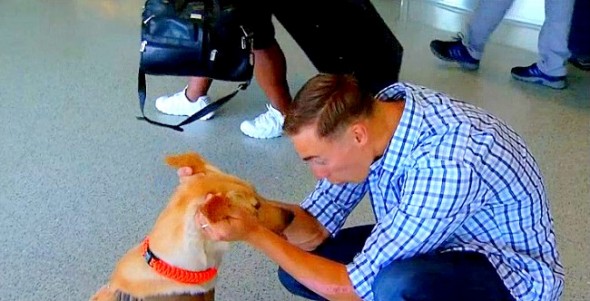 8.2.14 - Marine Reunited with Beloved Military Dog2