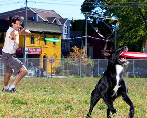 8.22.14 Dog Record Breakers9