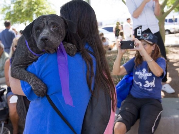 8.24.14 - Arizona Tragedy Victims Aid in Adoption of Sixty4